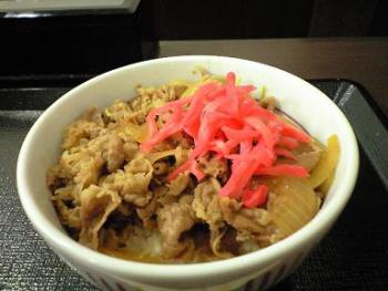 16.7:350:263:300:225:なか卯の牛丼:none:1:1::1: