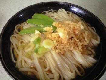 16:350:263:300:225:たぬきうどん:none:1:1::1: