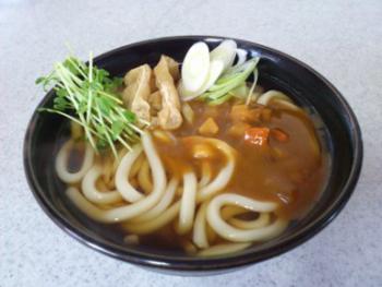 15.2:350:263:300:225:カレーうどん:none:1:1::1: