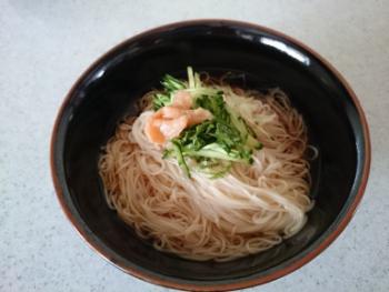 14.5:350:263:300:225:ぶっかけ素麺:none:1:1::1: