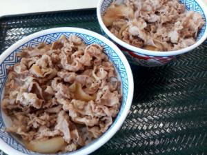 19.6:300:225:0:0:牛丼:none:1:1::1: