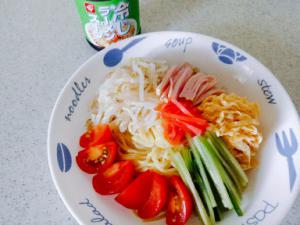 13.6:300:225:0:0:冷やしラーメン:none:1:1::1: