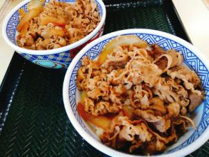 19.8:300:225:0:0:牛丼:none:1:1::1: